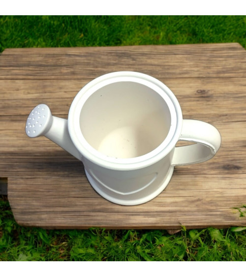 Arrosoir Décoratif en Jesmonite